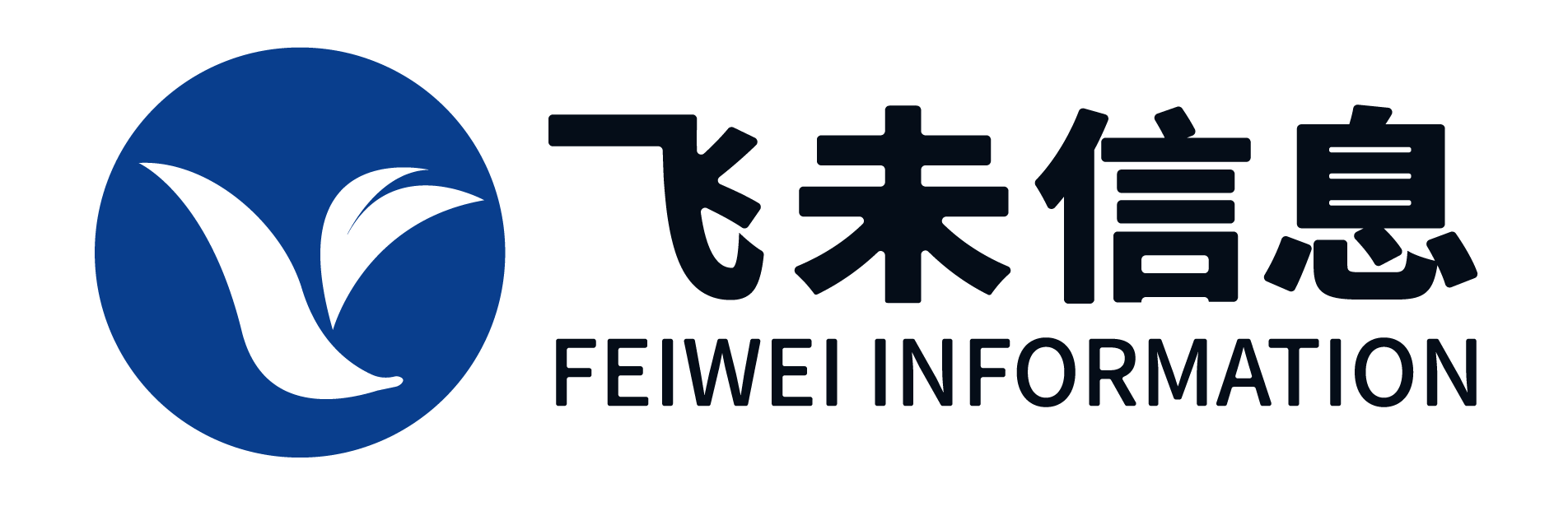 飞未信息技术股份有限公司